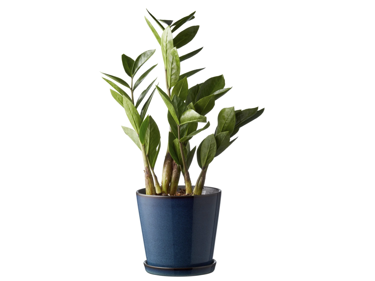 BITZ Übertopf – Bild 3