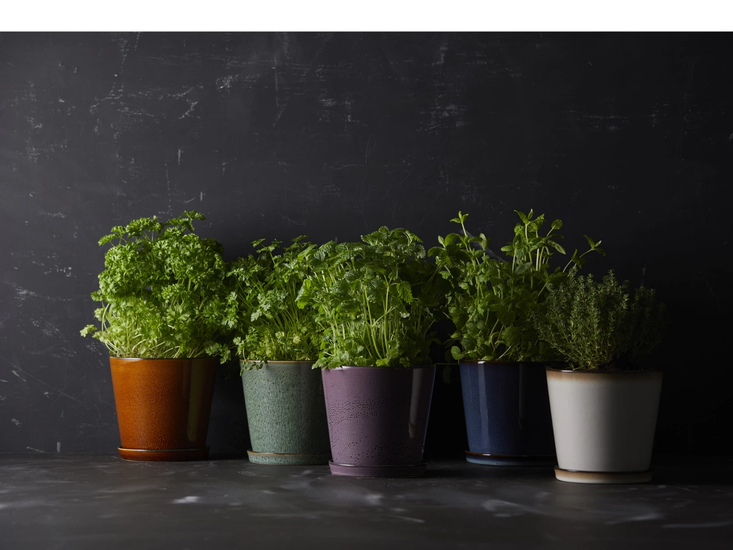 BITZ Übertopf – Bild 4