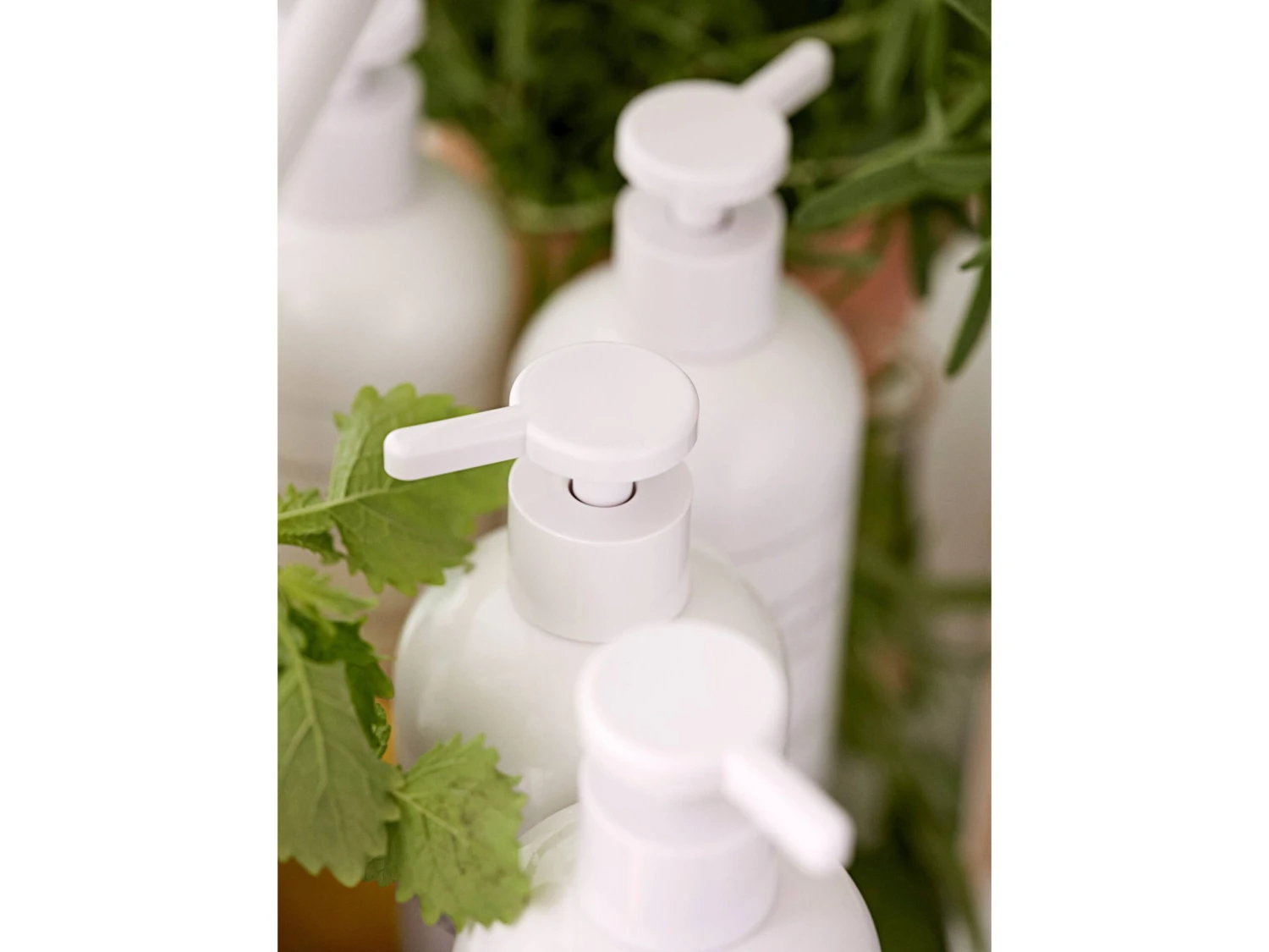 Zone Denmark Botanical Scents Geschirrspülmittel – Bild 4